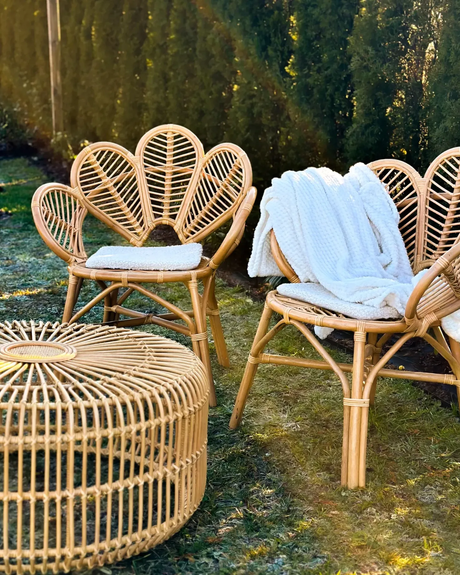 Altansæt med puder FLORENTINE / LIMNI Rattan Beige
