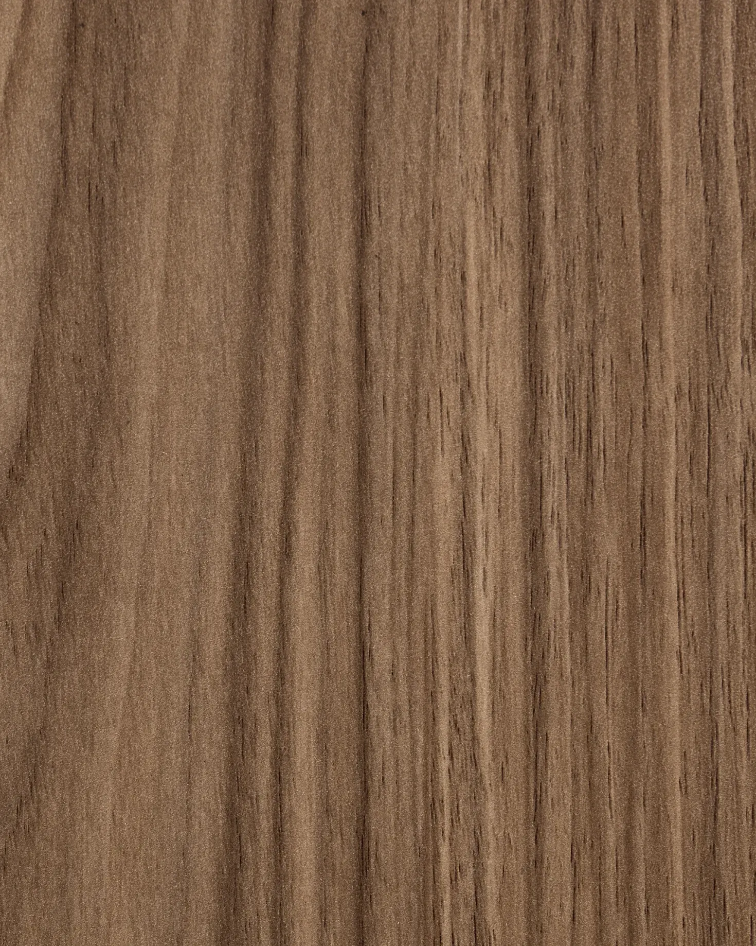 Bogreol med 6 hylder CHATEH 180 cm Brun