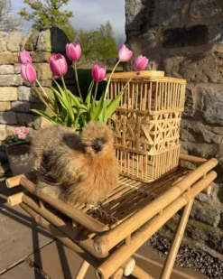 Bord MISICUNI Bambus Naturlig Foldbar