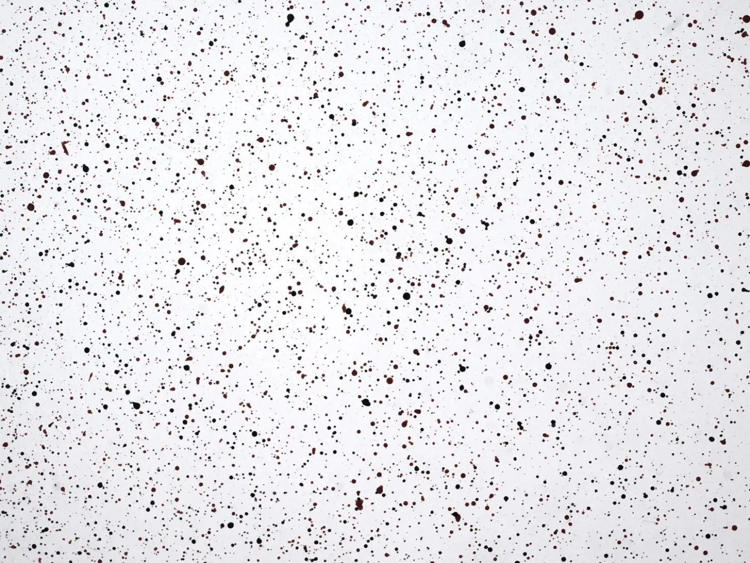 Bord ANTELAO 37 cm 37 cm Terrazzo effekt Hvid terrazzo