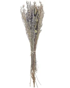 Buket af tørrede blomster NAWARRA 70 cm Naturlig