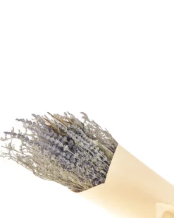 Buket af tørrede blomster NAWARRA 70 cm Naturlig