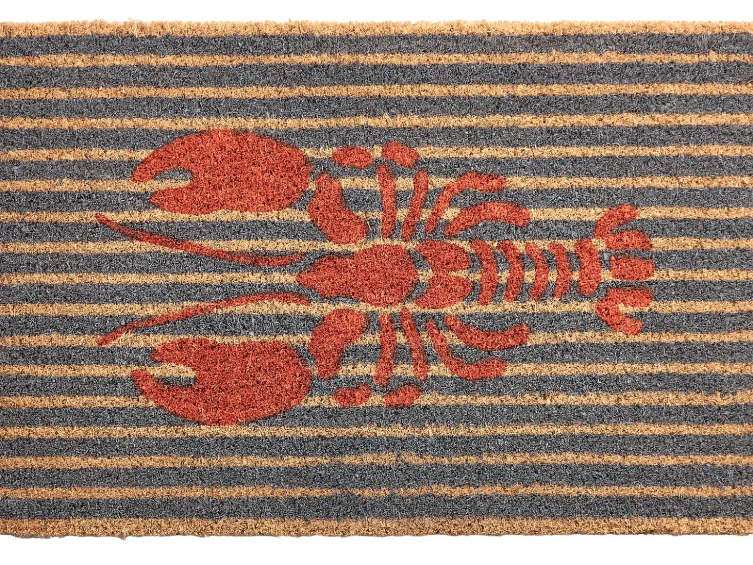 Dørmåtte IRIGA Multifarvet 40 x 60 cm Kokos