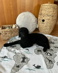 Dětský košík Bamse SAMBUR Flet Naturlig