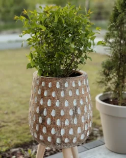 Forhøjet plantekrukke ASCLEPIAS 27 cm Lysebrun