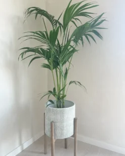 Forhøjet plantekrukke PINSAPO Metal 30 cm Grå