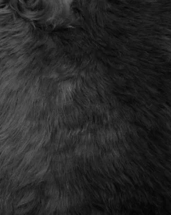 fåreskindstæppe ULURU Sort 65 x 110 cm