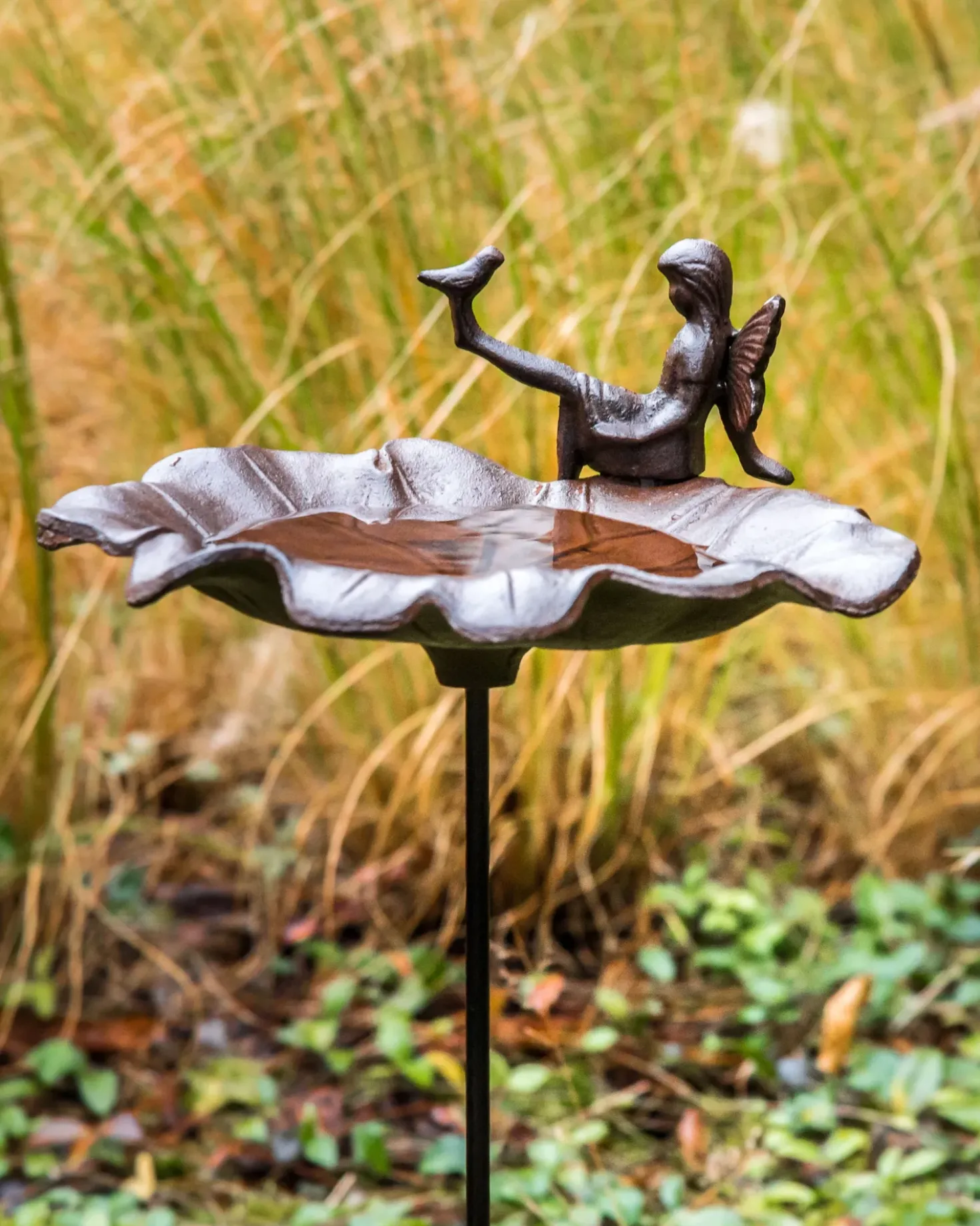 Fuglebad MAGPIE Brun