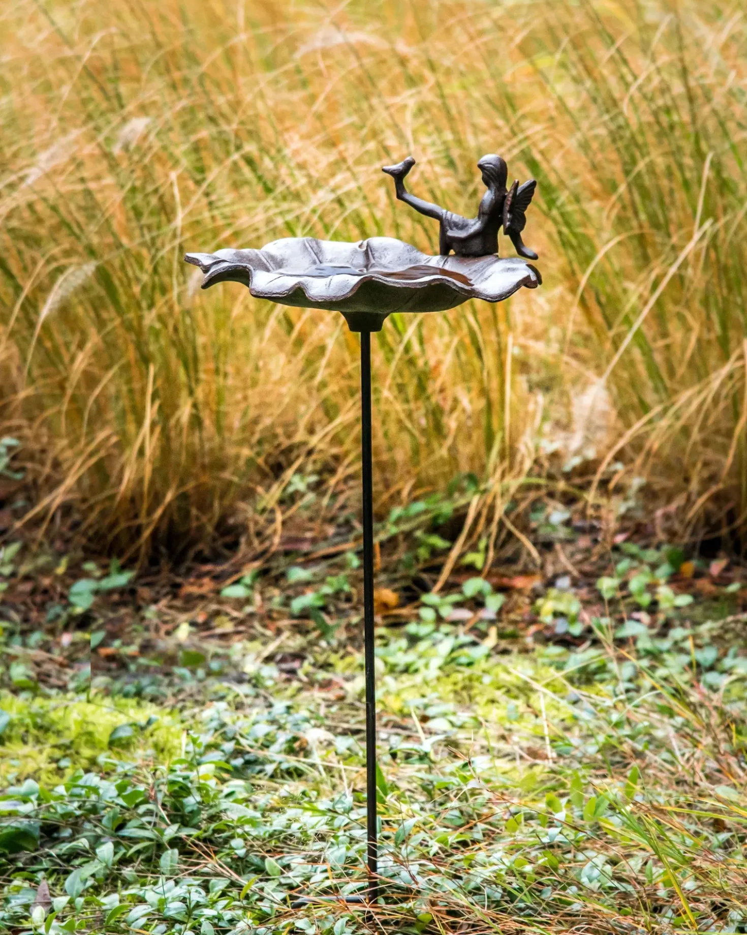Fuglebad MAGPIE Brun
