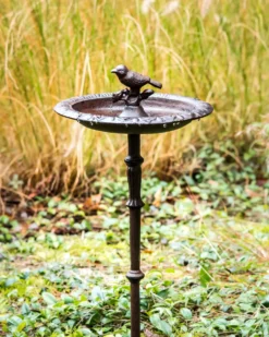 Fuglebad SWALLOW Brun