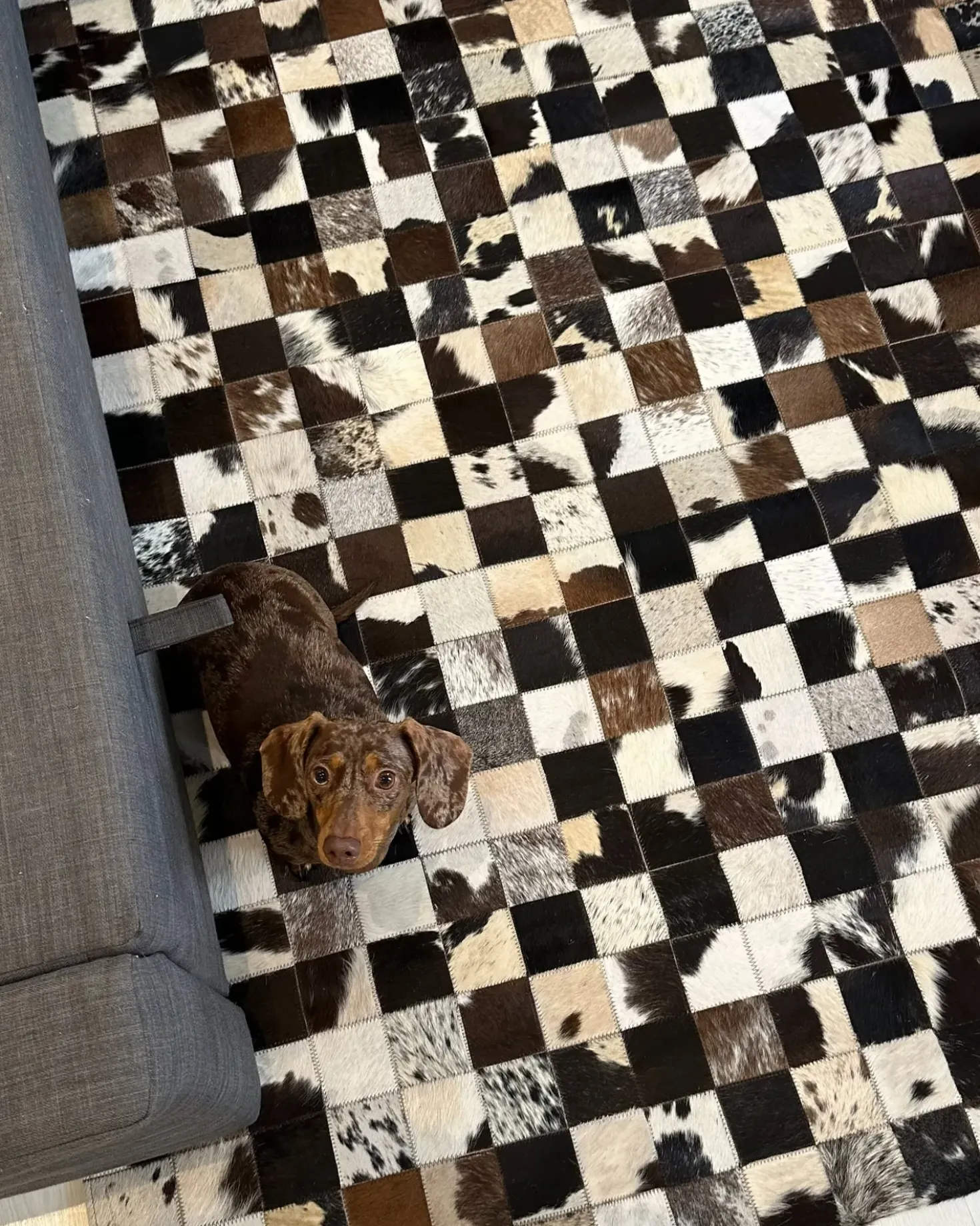 Gulvtæppe CERLI Hvid 160 x 230 cm Ægte læder