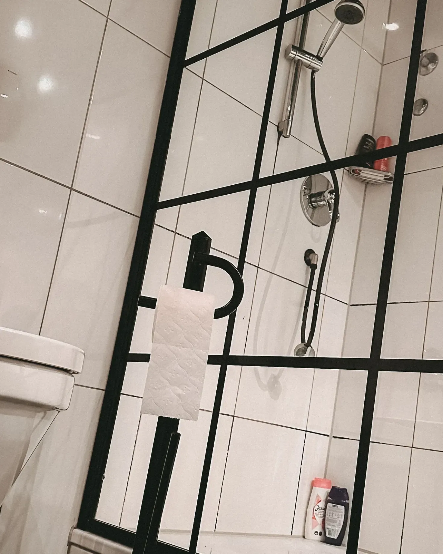 Holder til toiletpapir og -børste SARTO Metal Sort