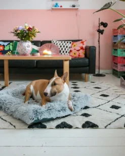 Hundepude ERGANI Velour Grå