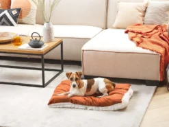 Hundepude ERGANI Velour Orange