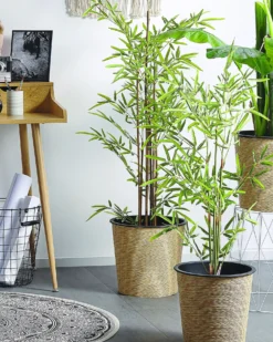 Kunstig plante BAMBUSA VULGARIS 100 cm Grøn