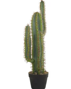 Kunstig plante CACTUS 78 cm Grøn
