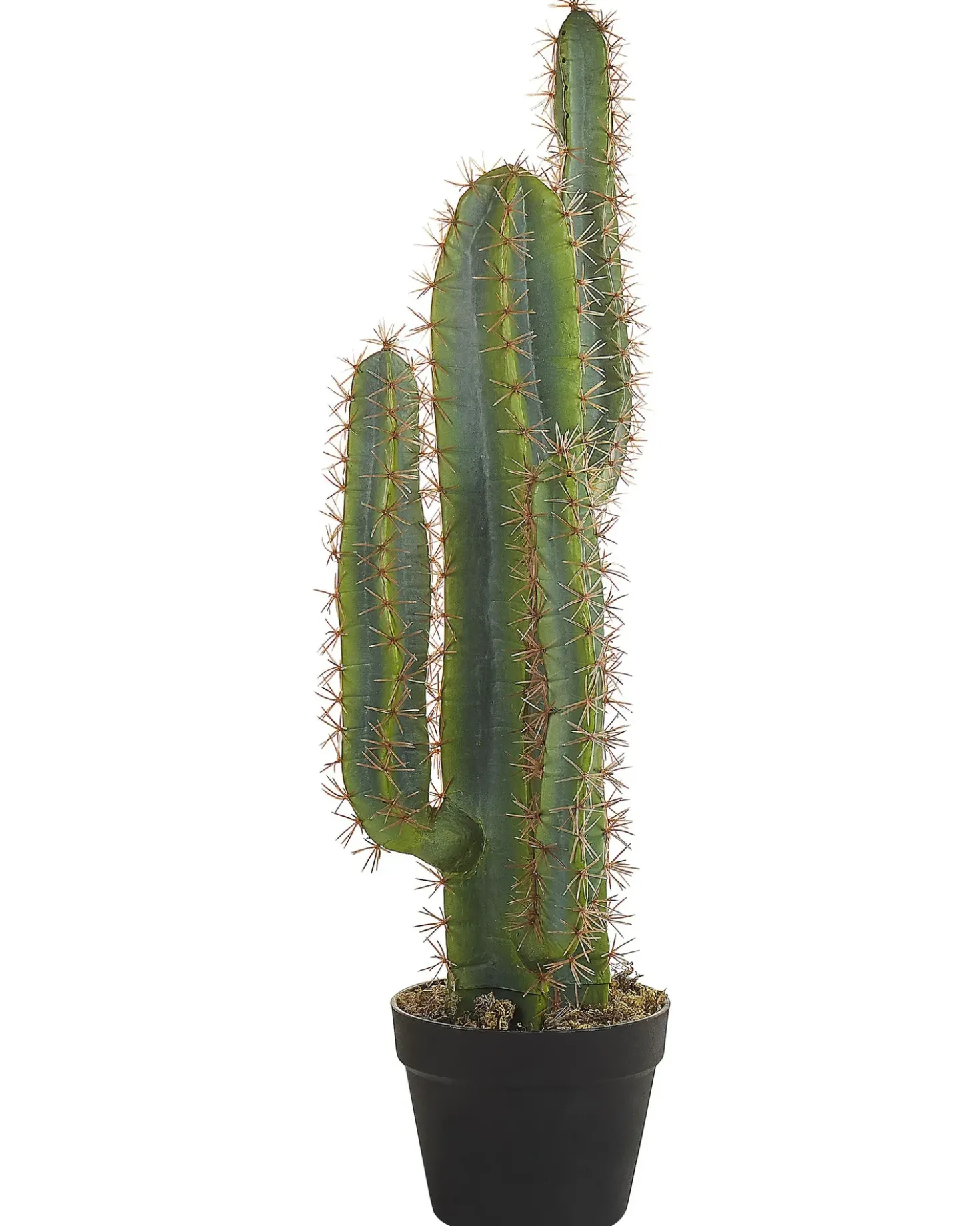 Kunstig plante CACTUS 78 cm Grøn