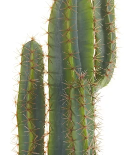 Kunstig plante CACTUS 78 cm Grøn