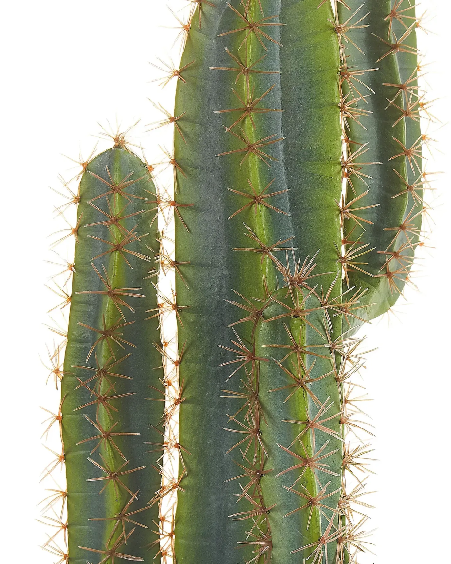 Kunstig plante CACTUS 78 cm Grøn