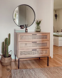Kunstig plante CACTUS 78 cm Grøn