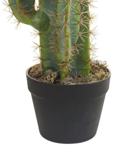 Kunstig plante CACTUS 78 cm Grøn