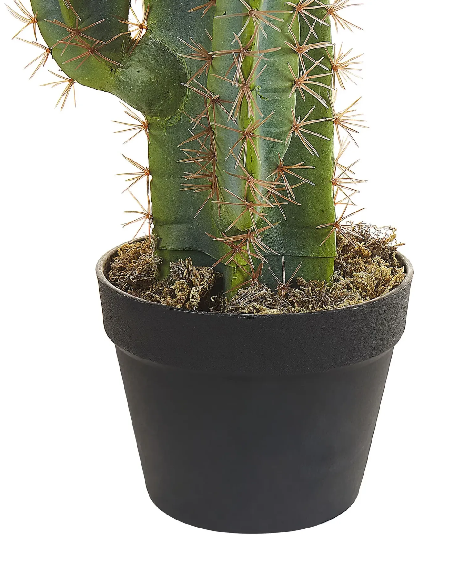Kunstig plante CACTUS 78 cm Grøn