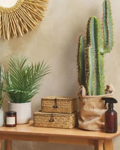 Kunstig plante CACTUS 78 cm Grøn