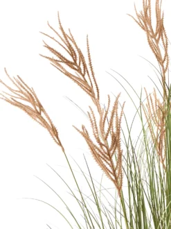 Kunstig plante CLAW FLOWER 150 cm Grøn