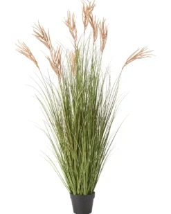 Kunstig plante CLAW FLOWER 150 cm Grøn