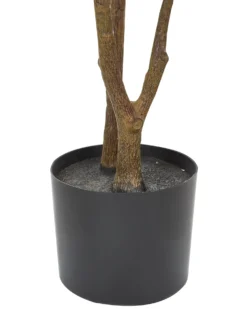 Kunstig plante CODIAEUM 140 cm Grøn