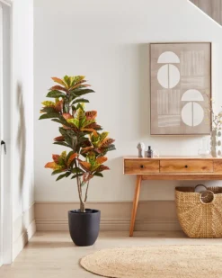 Kunstig plante CODIAEUM 140 cm Grøn