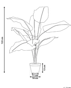 Kunstig plante DIEFFENBACHIA 122 cm Grøn