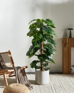 Kunstig plante DIEFFENBACHIA 152 cm Grøn