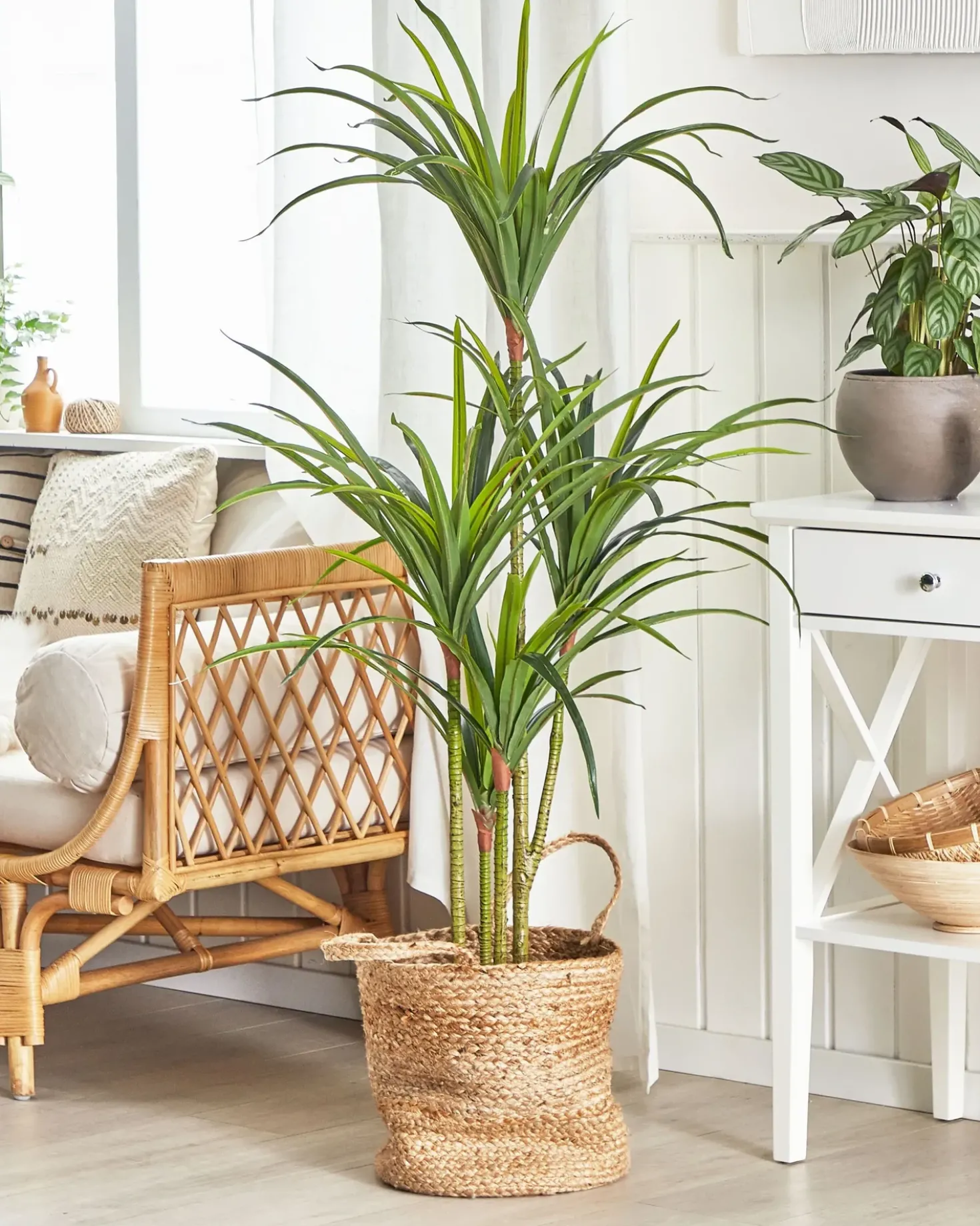 Kunstig plante DRACAENA ANITA 147 cm Grøn