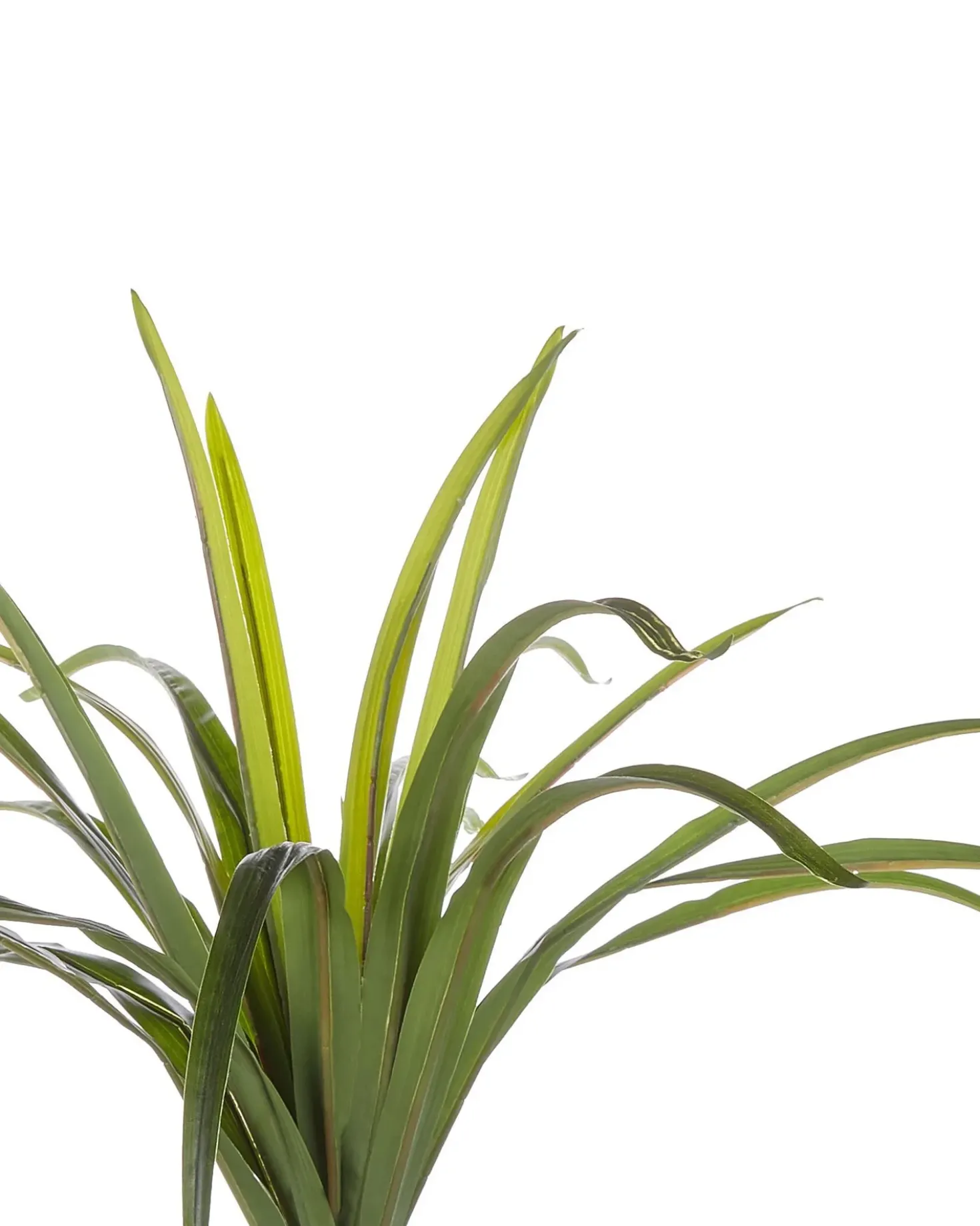 Kunstig plante DRACAENA ANITA 147 cm Grøn