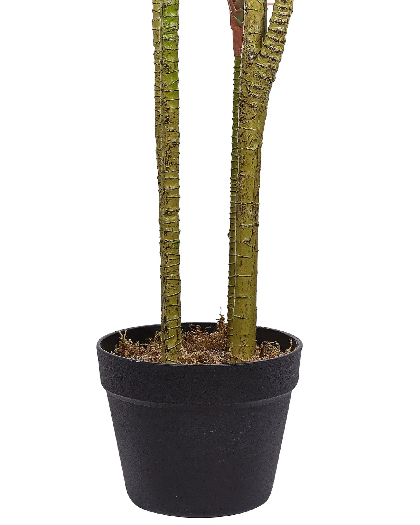 Kunstig plante DRACAENA ANITA 147 cm Grøn
