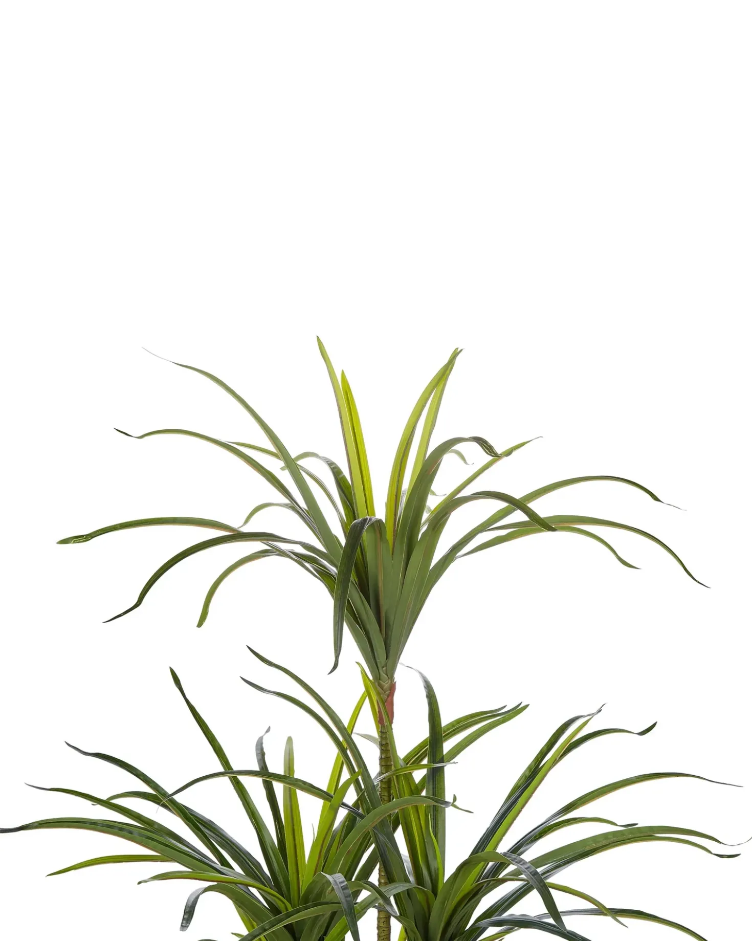 Kunstig plante DRACAENA ANITA 147 cm Grøn