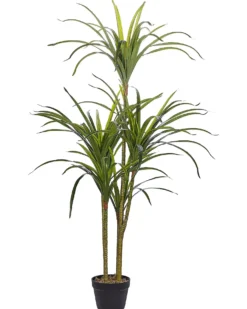 Kunstig plante DRACAENA ANITA 147 cm Grøn