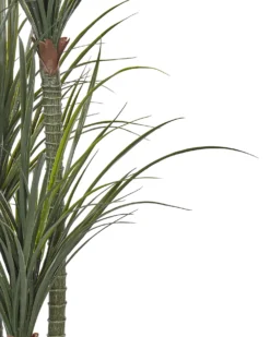 Kunstig plante DRACAENA ANITA 198 cm Grøn