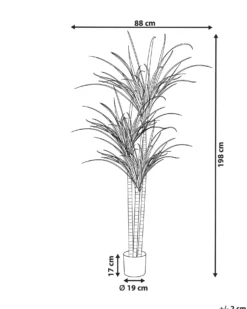 Kunstig plante DRACAENA ANITA 198 cm Grøn