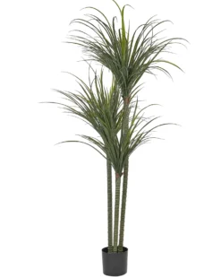Kunstig plante DRACAENA ANITA 198 cm Grøn