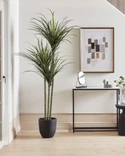 Kunstig plante DRACAENA ANITA 198 cm Grøn