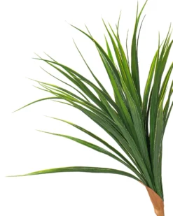 Kunstig plante DRACAENA DRACO 165 cm Grøn