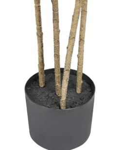 Kunstig plante DRACAENA DRACO 165 cm Grøn