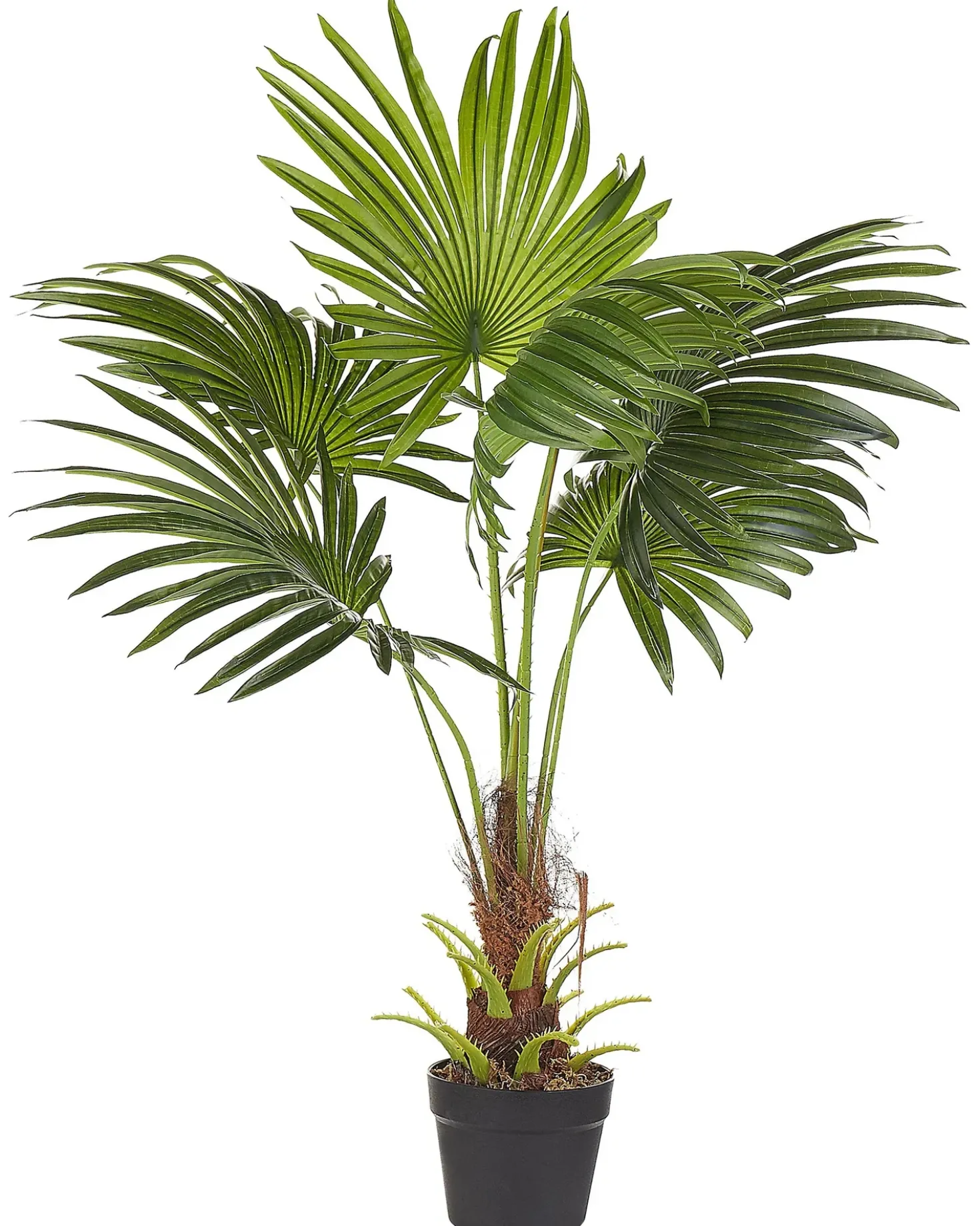 Kunstig plante FAN PALM 100 cm Grøn