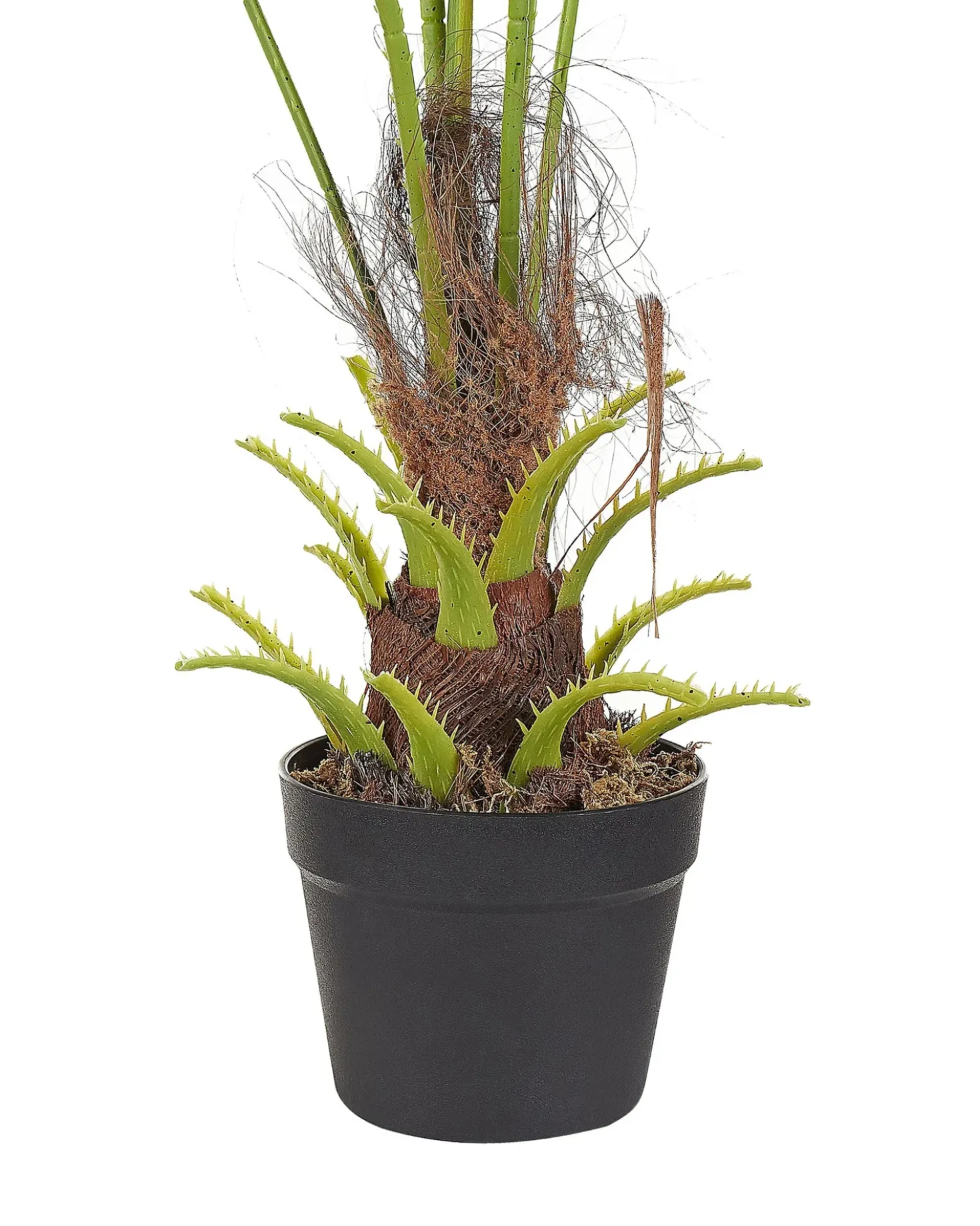 Kunstig plante FAN PALM 100 cm Grøn