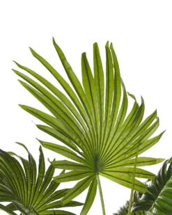 Kunstig plante FAN PALM 100 cm Grøn