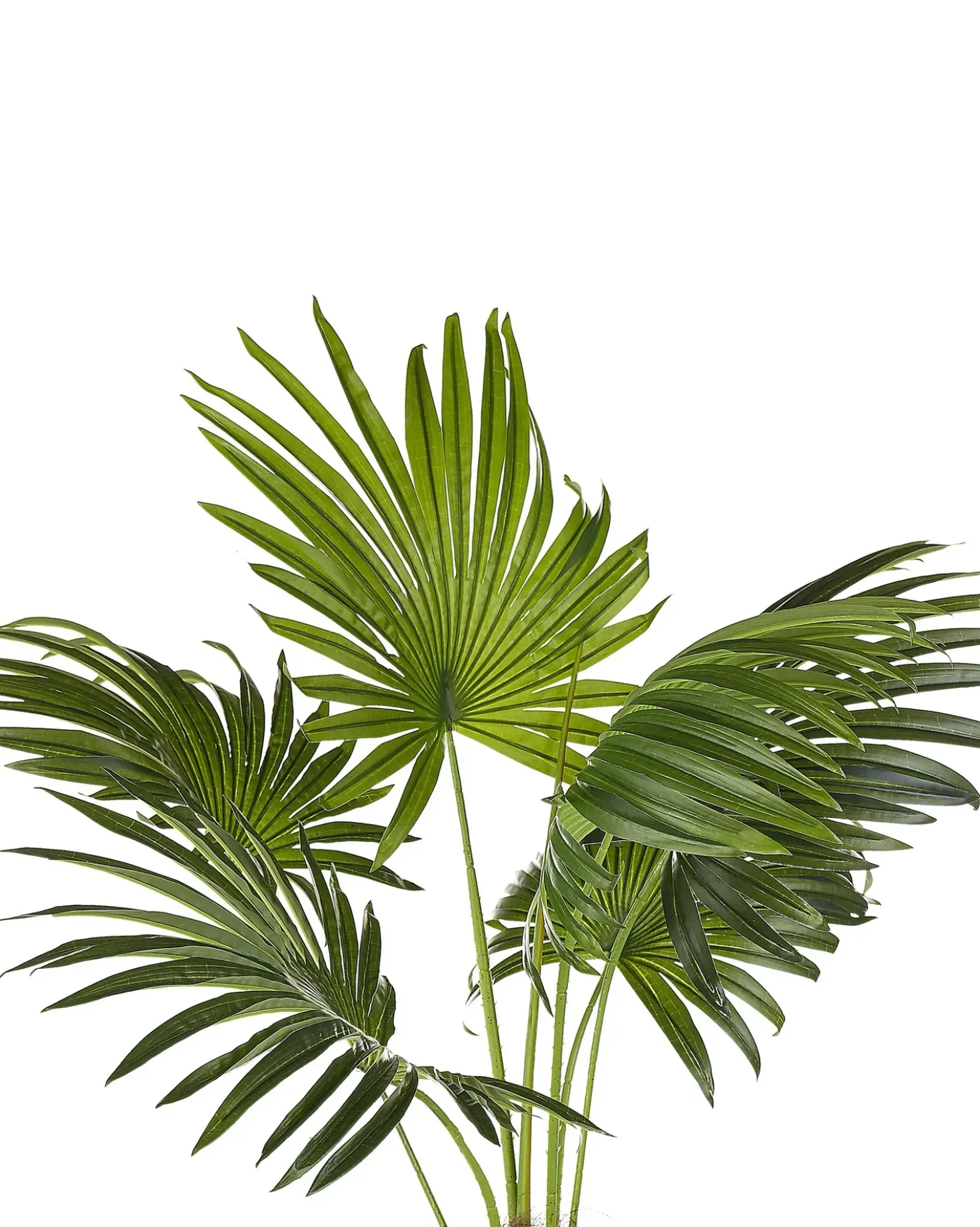 Kunstig plante FAN PALM 100 cm Grøn