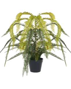 Kunstig plante FERN LEAF PLANT 105 cm Grøn