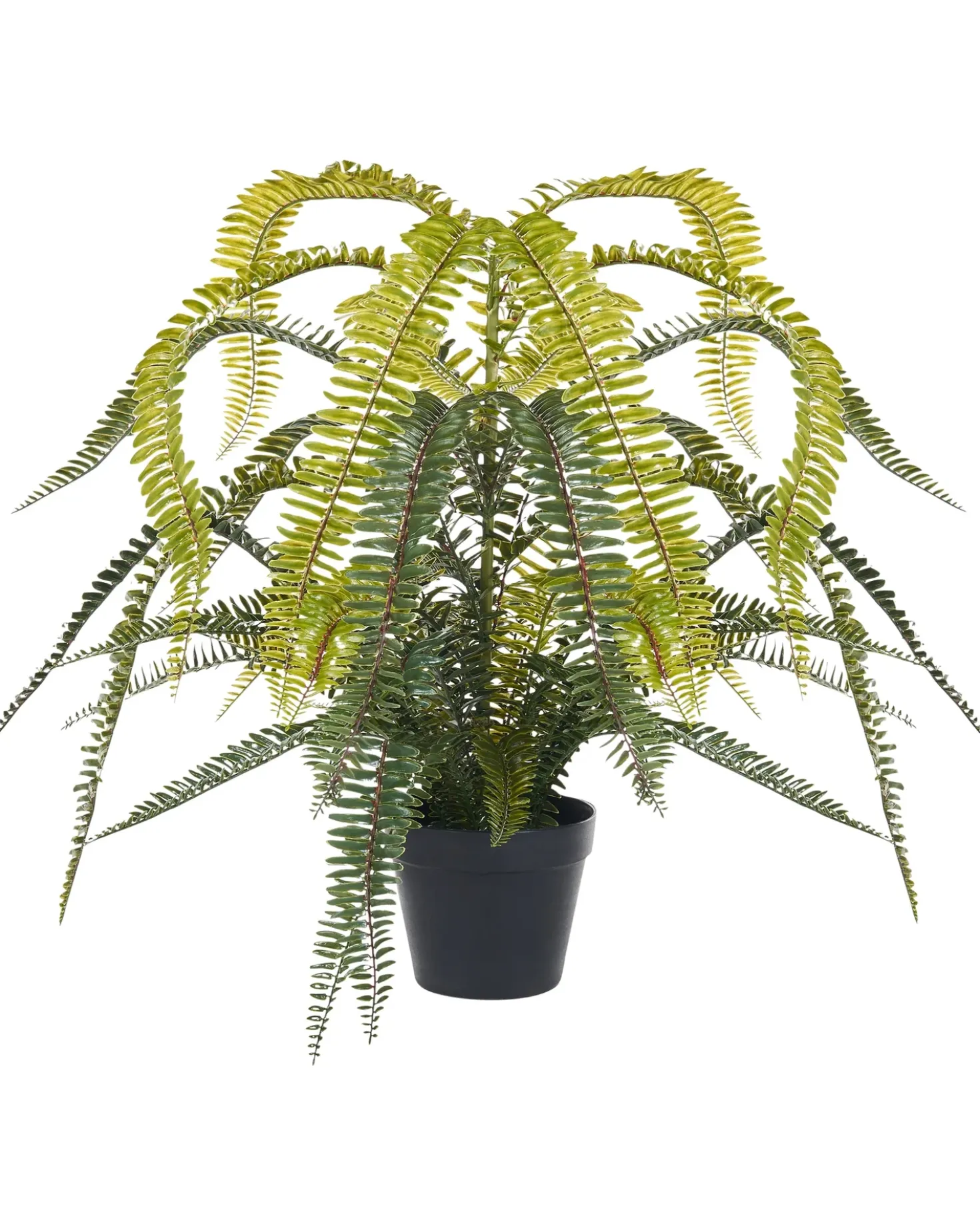 Kunstig plante FERN LEAF PLANT 105 cm Grøn